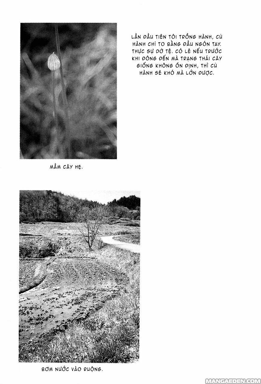 little forest chapter 32 9