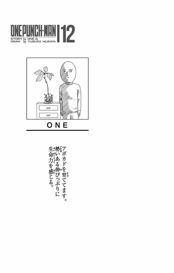 ワンパンマン 12