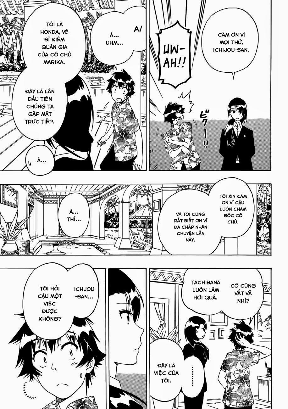 nisekoi - tình yêu giả tạo chapter 169 19