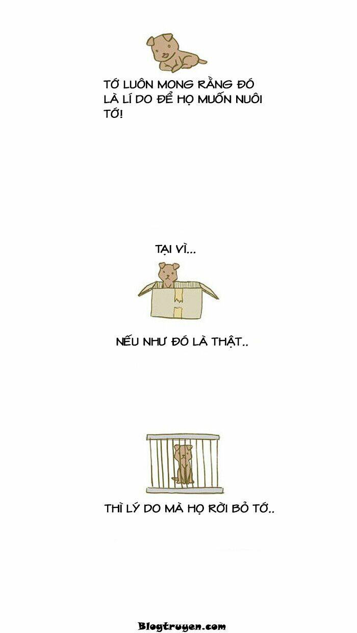 my young cat and my old dog chapter 13 3