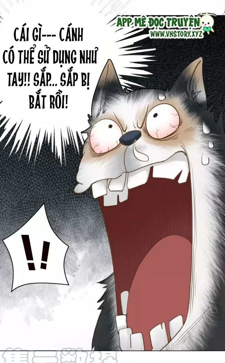 cực phẩm phế vật tiểu thư chapter 106 25