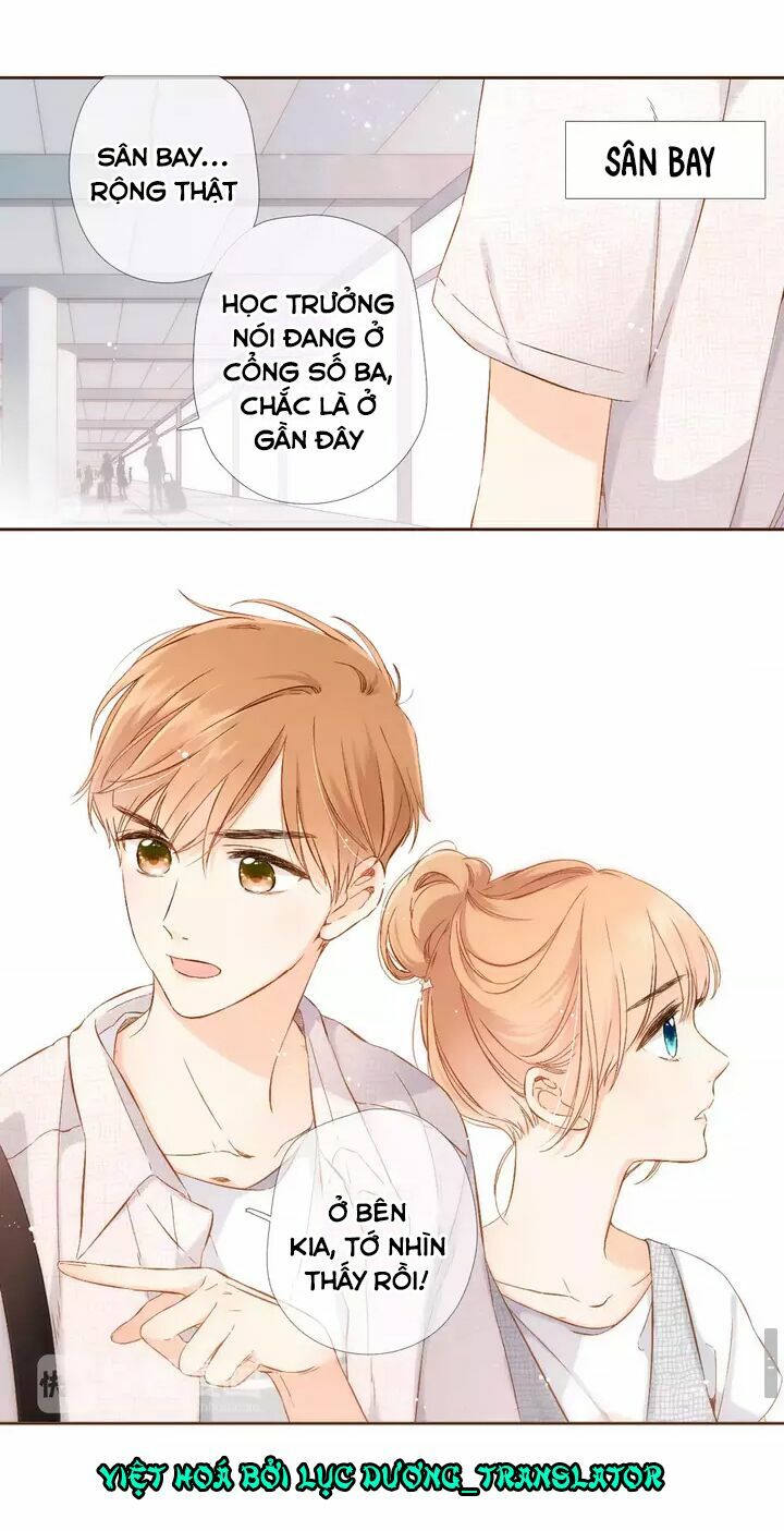 Tình yêu là màu hoa anh thảo chapter 32.3 13