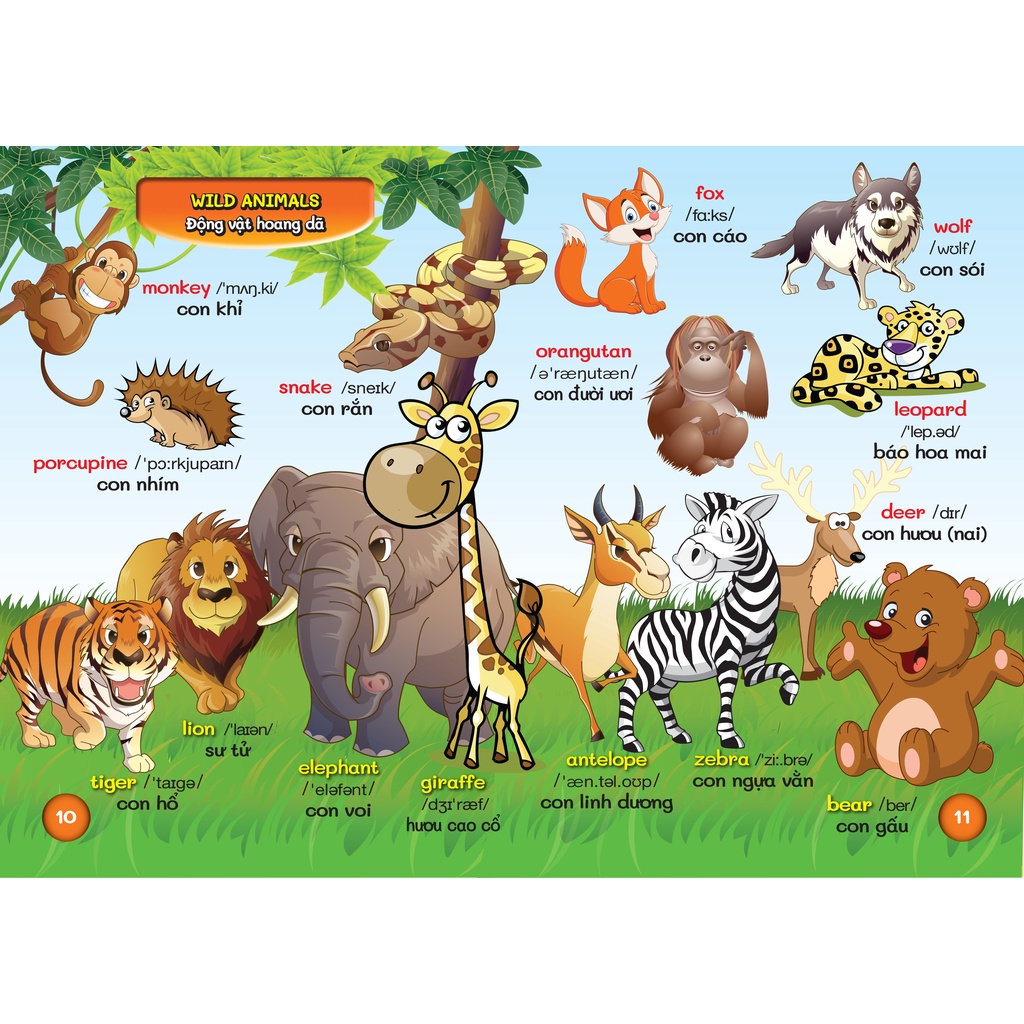 Từ Điển Bằng Hình Đầu Tiên Của Bé - Bách Khoa Tri Thức