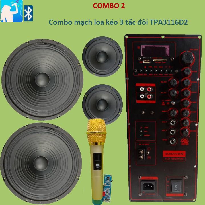 Combo Mạch loa kéo 3 tấc đôi TPA3116D2 2 kênh riêng biệt