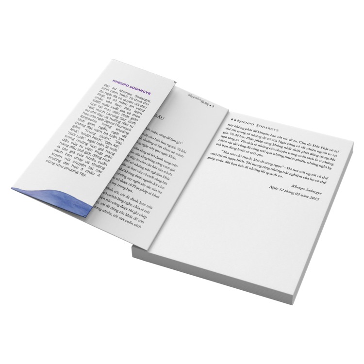 BỘ SÁCH "BẬN" - Sách Tôn Giáo, Nghệ Thuật Và Văn Hóa, Tác Giả KHENPO SODARGYE - Hiệu sách genbooks, bìa mềm, in màu