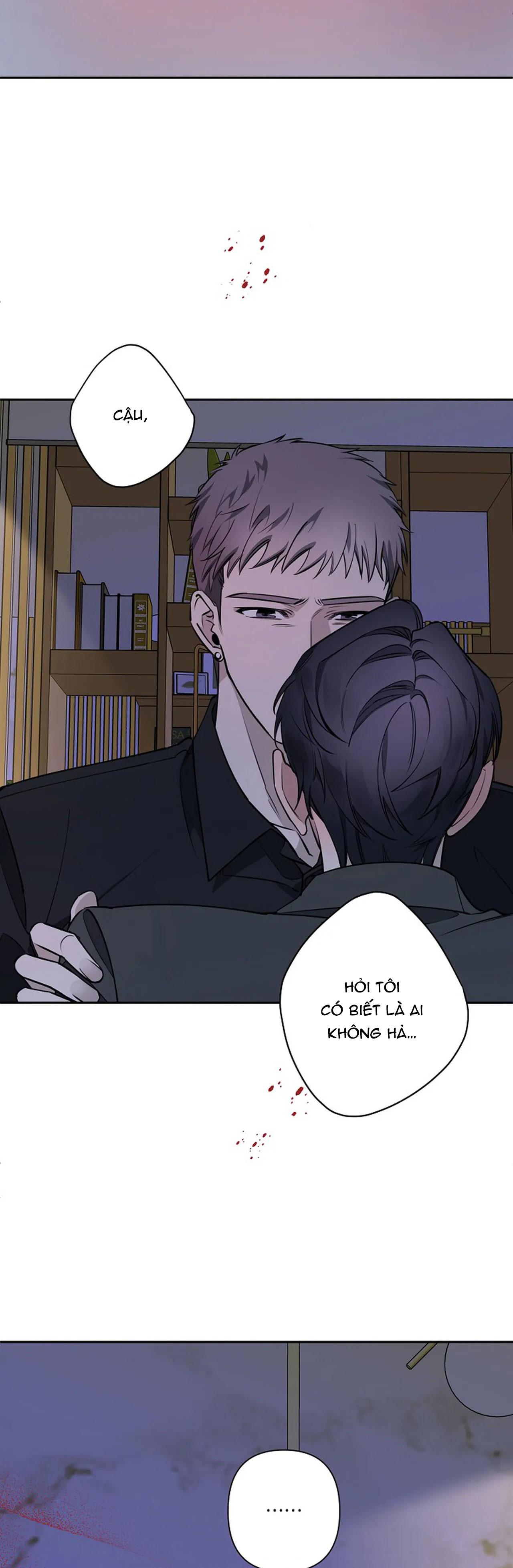 đêm dịu dàng chapter 37 27