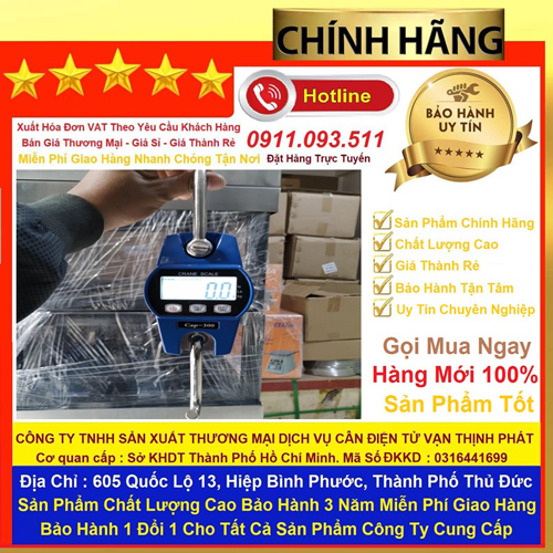Cân Treo Điện Tử 300 kg