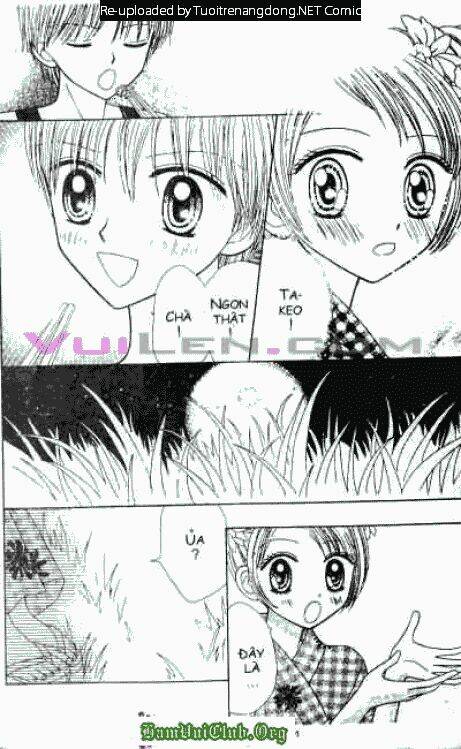 cánh thiên nga chapter 11 8