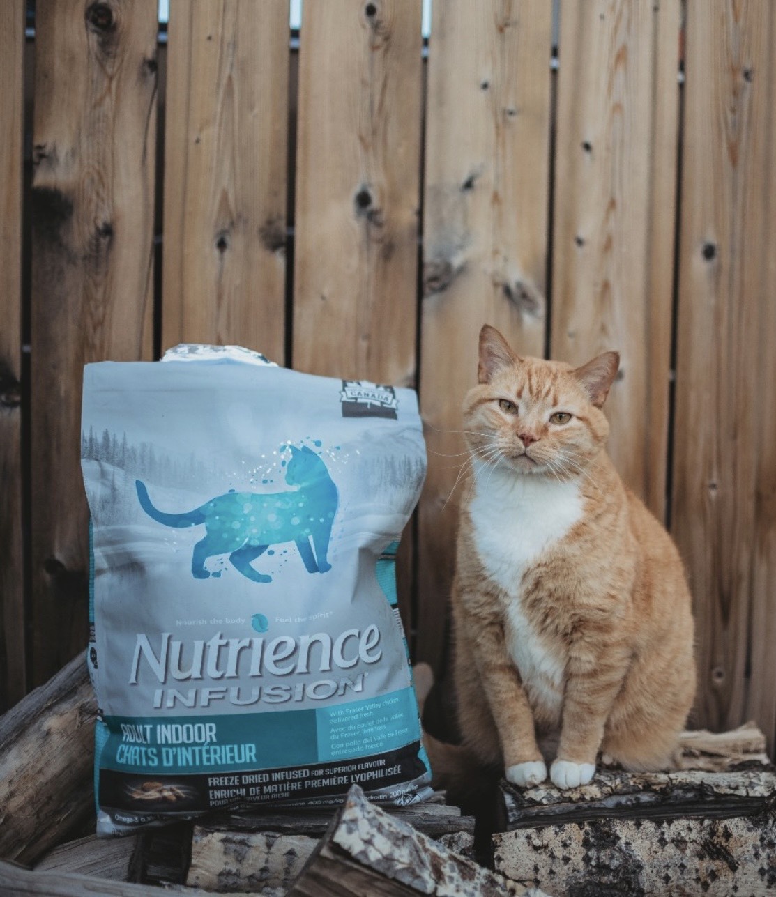 NUTRIENCE Thức ăn mèo bao 5kg