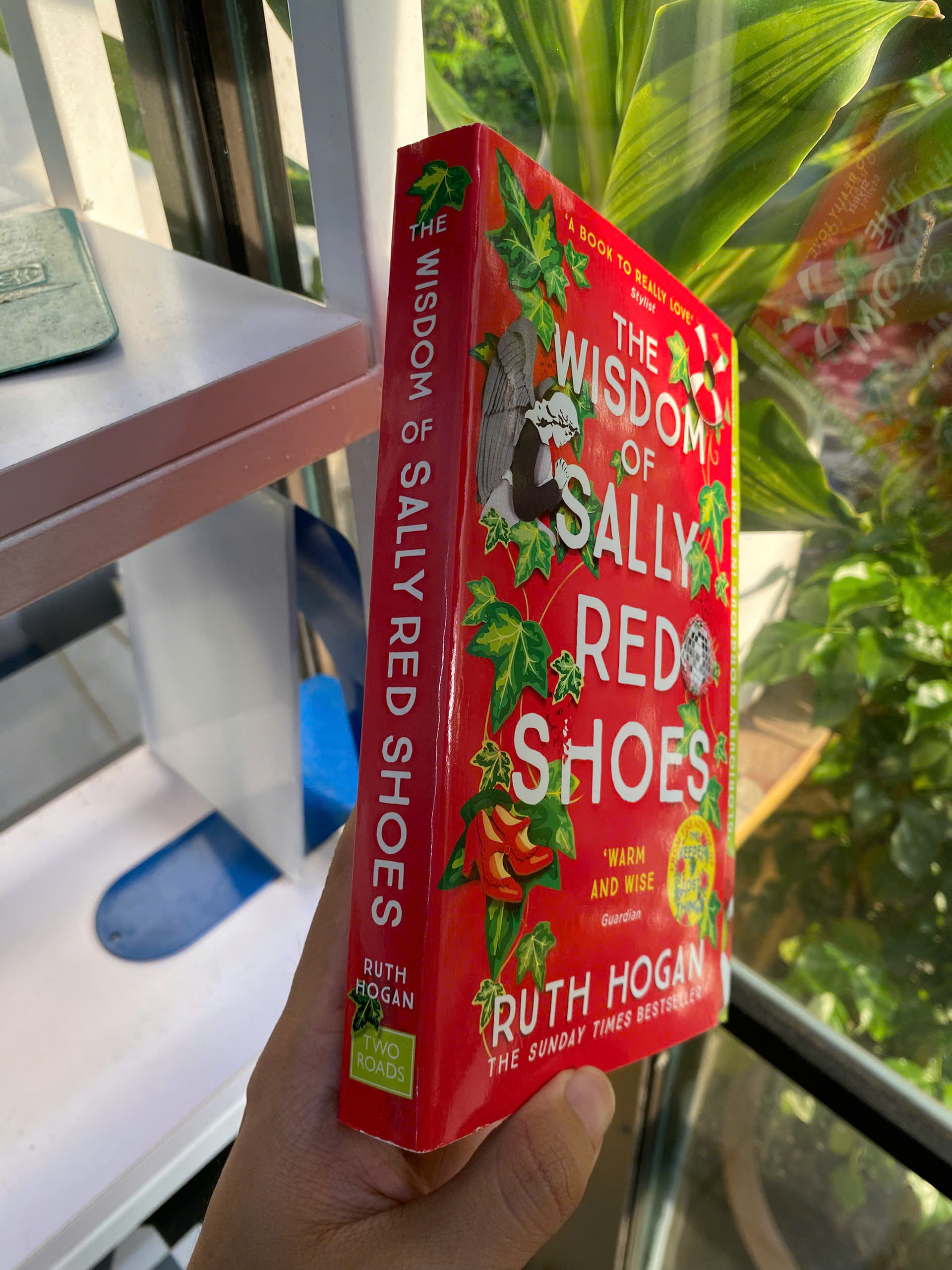 Sách - The Wisdom of Sally Red Shoes by Ruth Hogan | An irresistible novel of unexpected friendships / English Novel / Contemporary Fiction / Ngoại văn Nhập khẩu