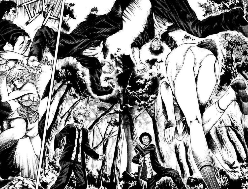 zippy ziggy chapter 1 41