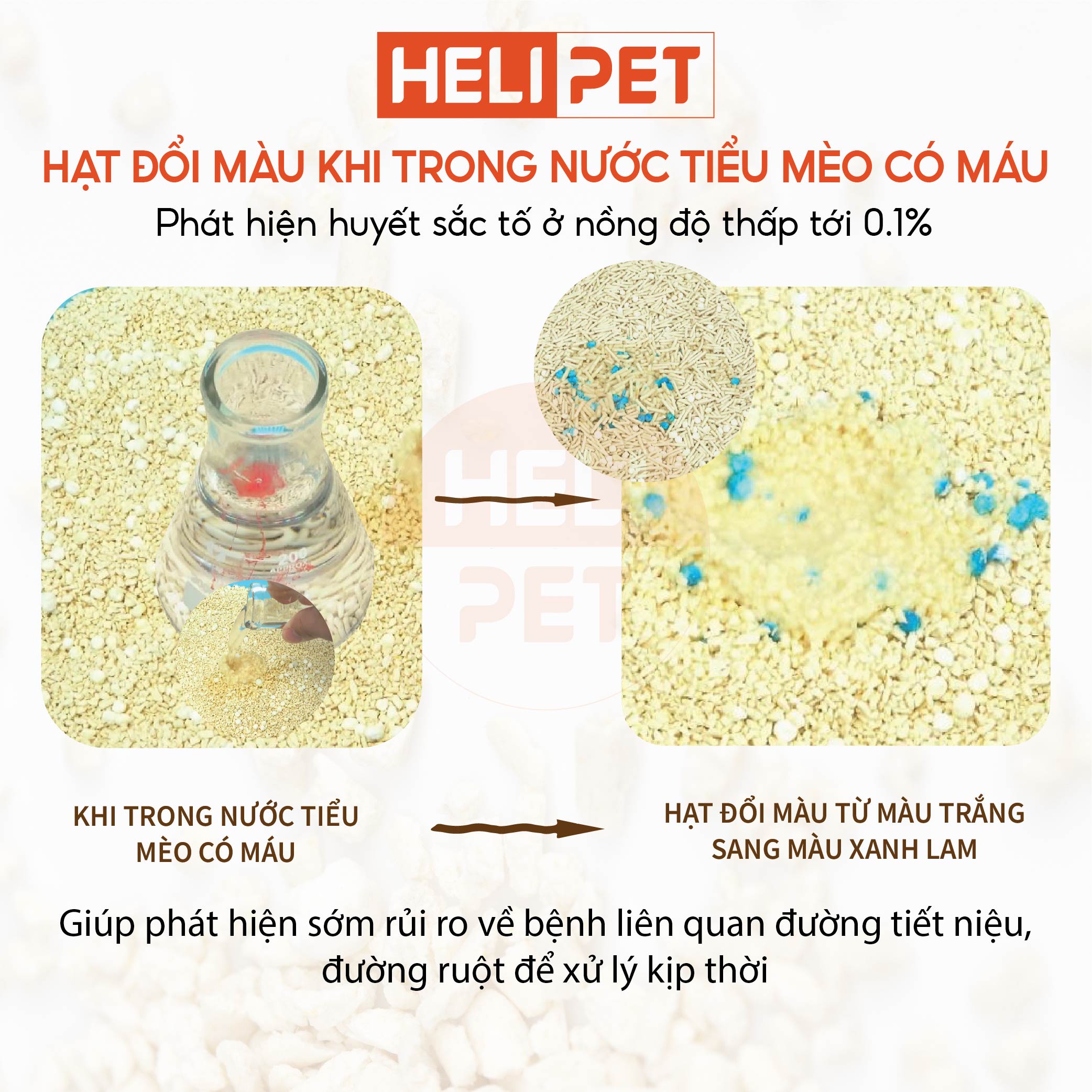 [Thử Máu] Cát mèo cát đậu nành Max Clean có chứa hạt xét nghiệm nhanh trong nước tiểu có chứa máu tạp - HELIPET
