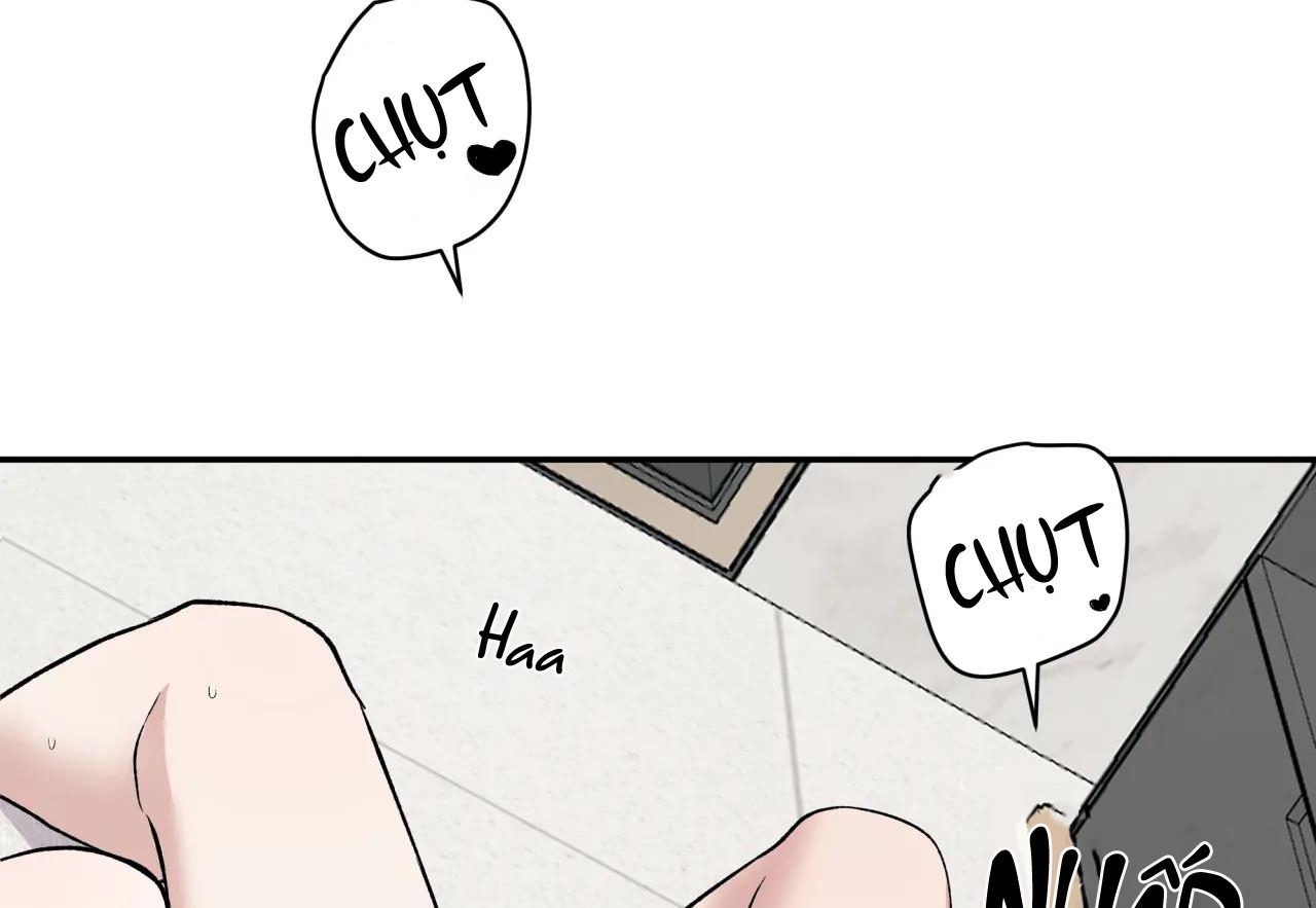 ám ảnh pheromone chapter 45 8