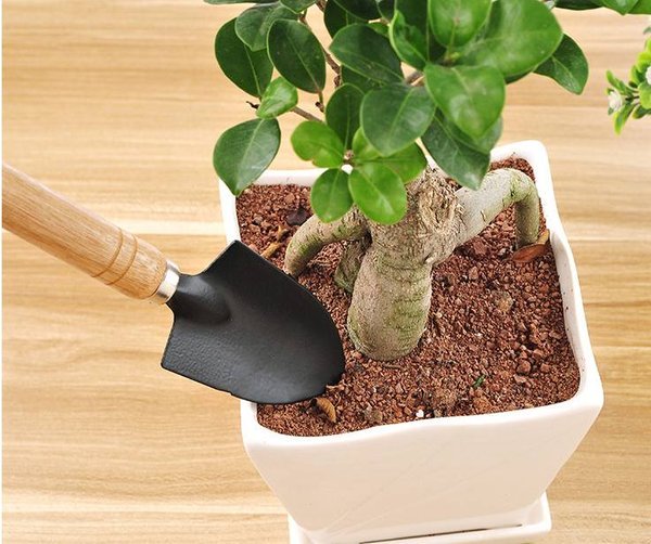 Bộ 3 Món Xẻng Làm Vườn Mini - Siêu Tiện Lợi - Siêu Dễ Thương - Hàng Nhập Khẩu