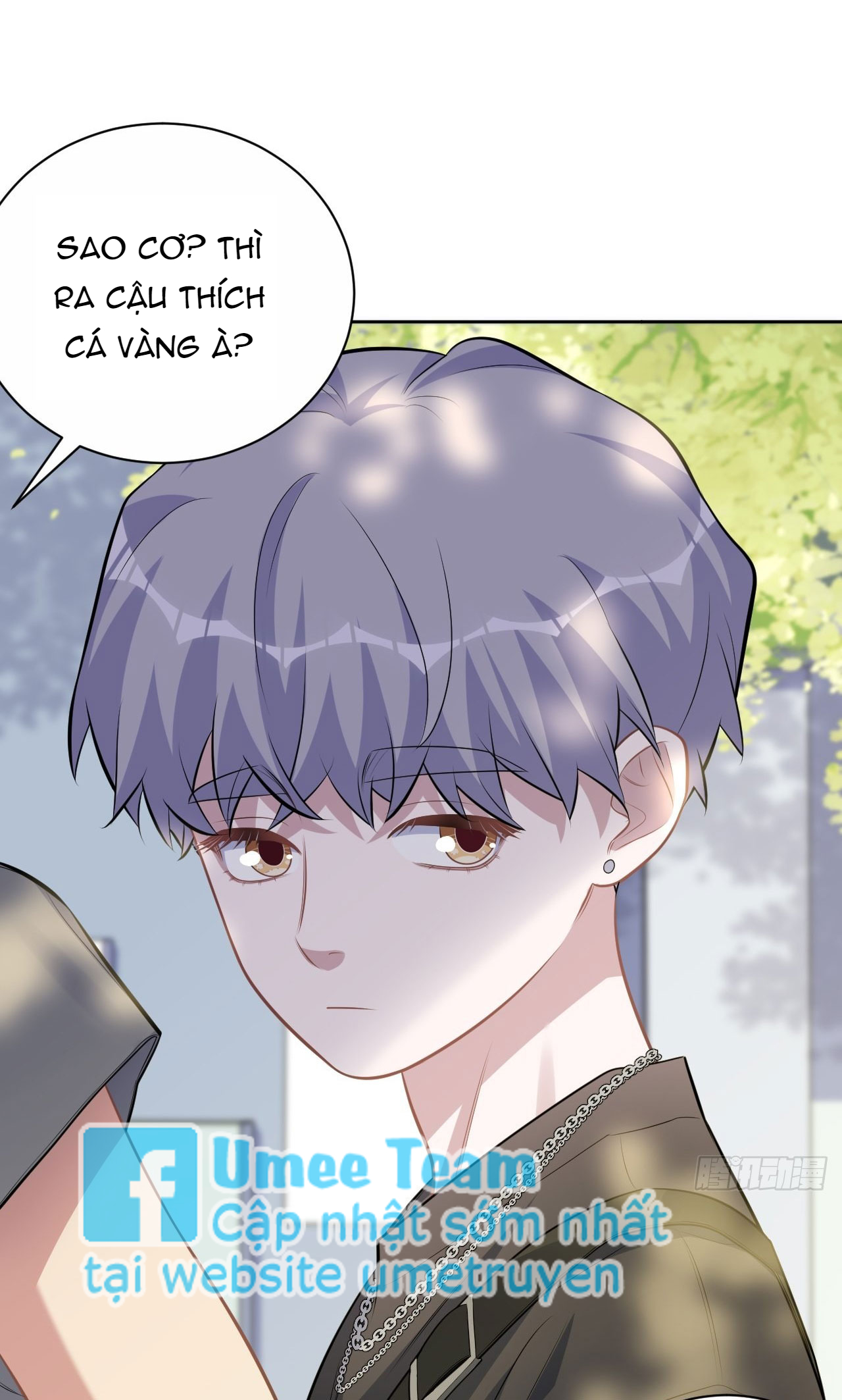 bố vợ đại nhân là bà xã chapter 228 26