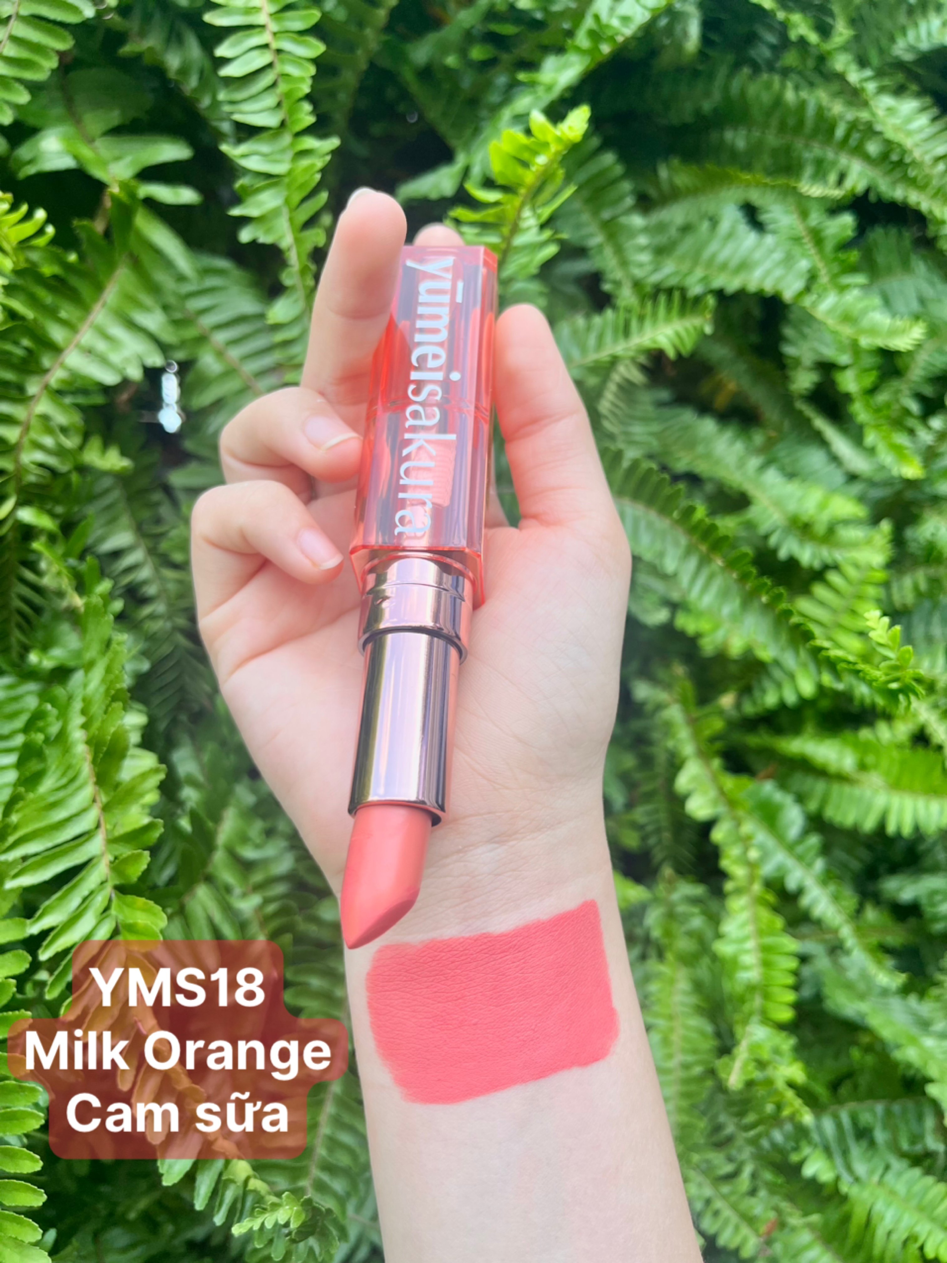 Son Thỏi Màu Cam Sữa Lì Mịn Siêu Dưỡng Yumeisakura Chotto Matte Milky Orange Lipstick YMS18 3.5g