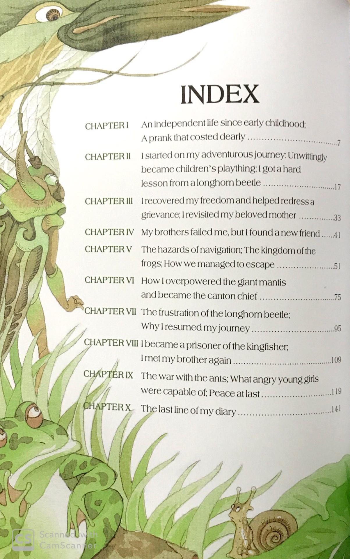 Sách ngoại văn: Diary Of A Cricket (Tái Bản 2024)