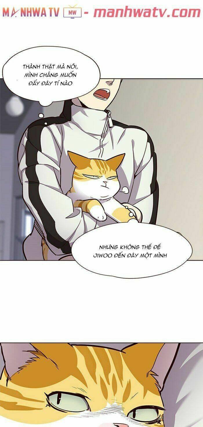 biến thân thành mèo chapter 24 7
