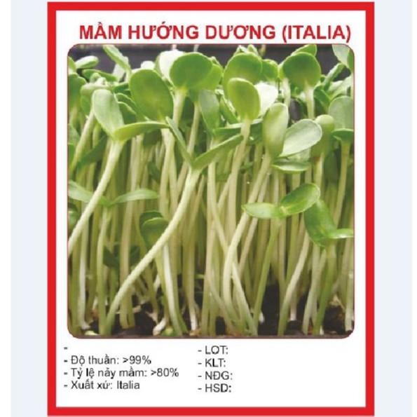 Hạt Mầm hướng dương