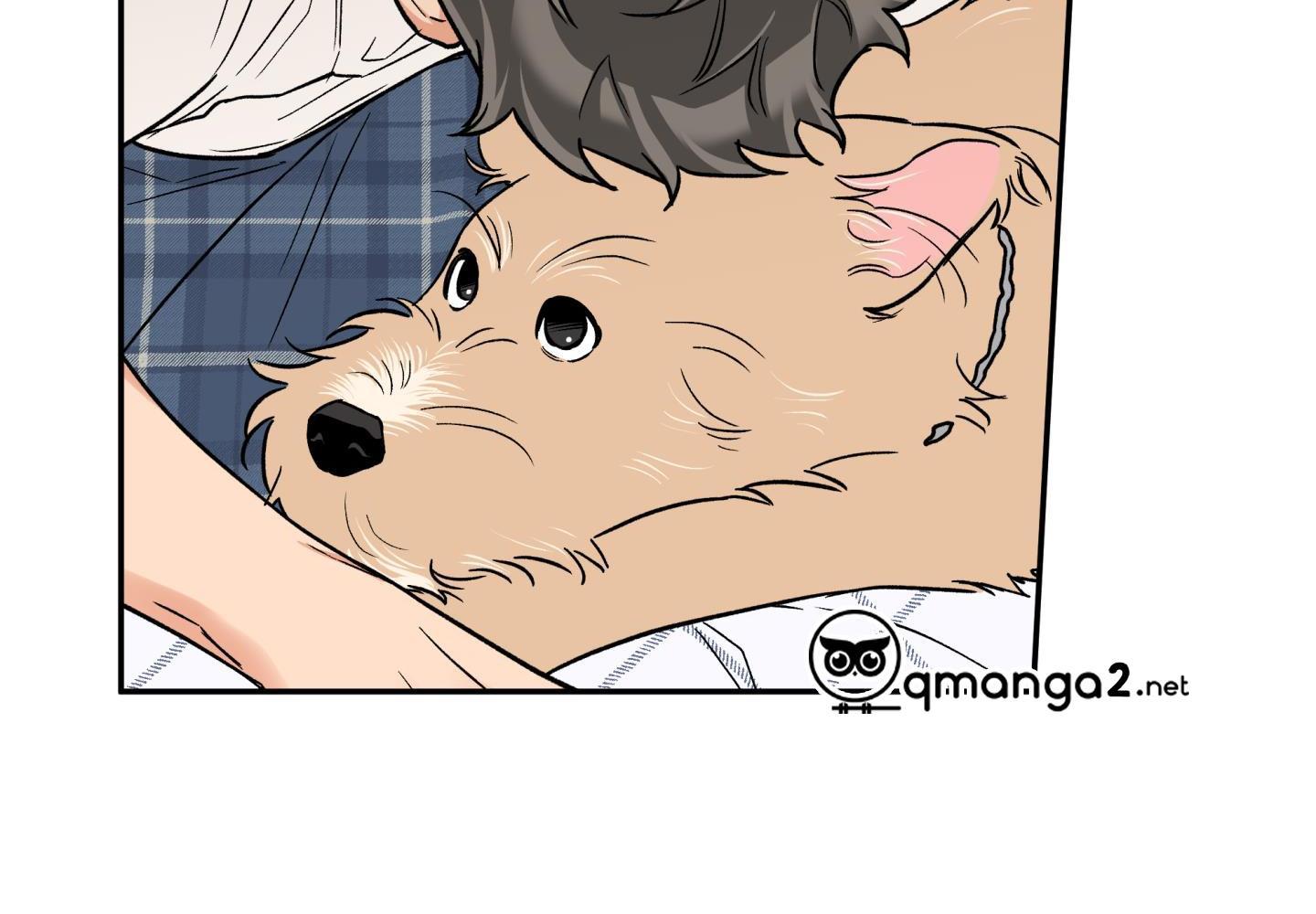 gâu gâu! chapter 49 85