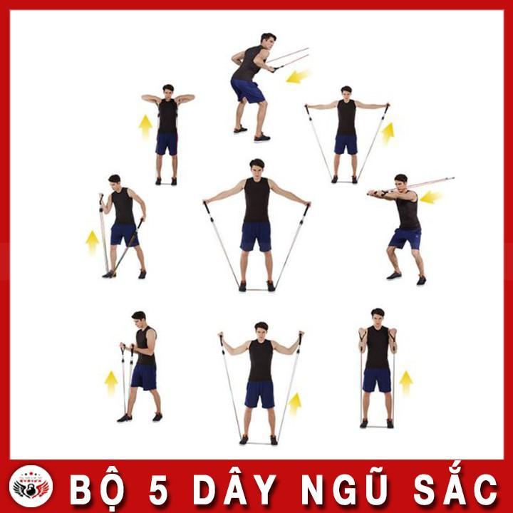 Bộ 5 Dây Ngũ Sắc Vouller Tập Gym - Full Body - Hàng Chính Hãng