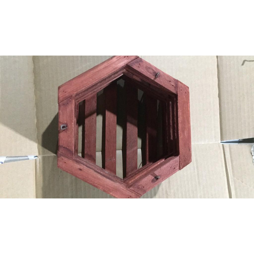 COM BO 2 chậu lục giác gỗ sao đỏ