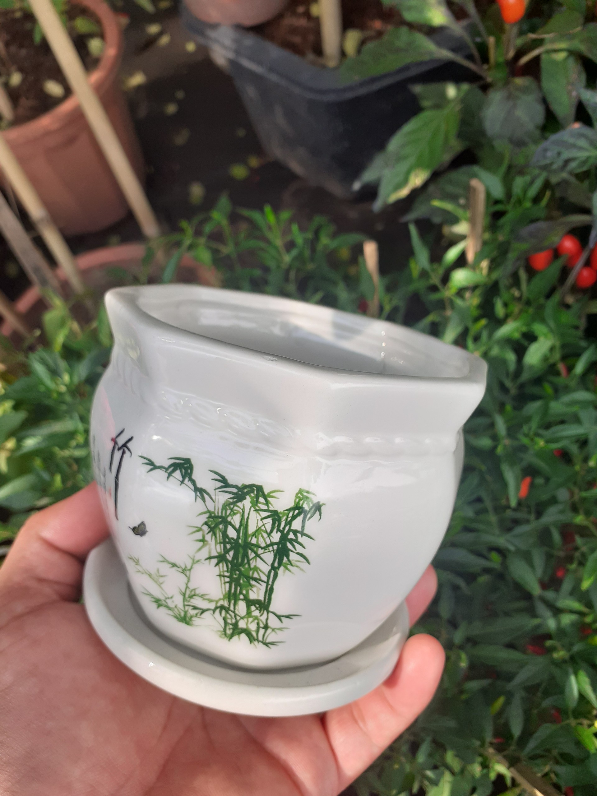 Chậu sứ kèm dĩa thơ thuỷ trúc bát giác đẹp tinh khiết