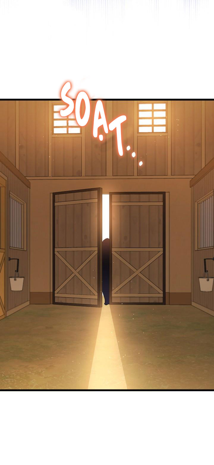 mối liên kết giữa báo đen và bé thỏ chapter 49 50