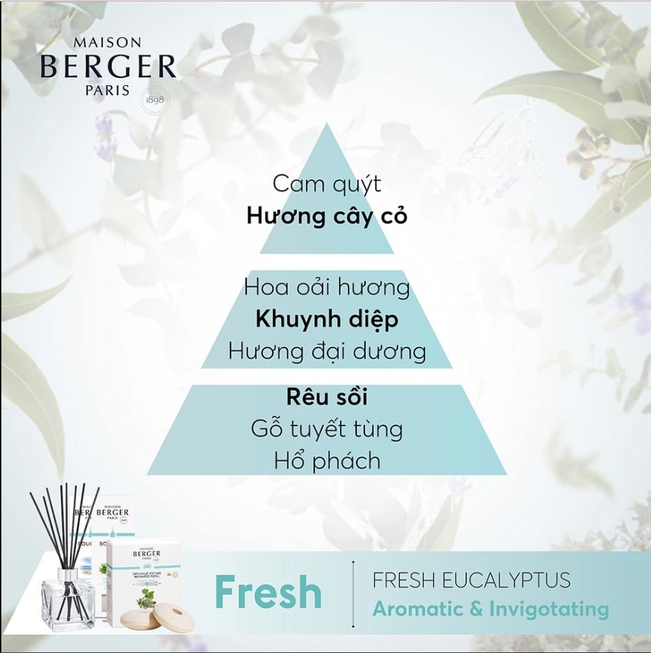 Maison Berger - Tinh dầu khuếch tán hương Fresh Eucalyptus - 200ml