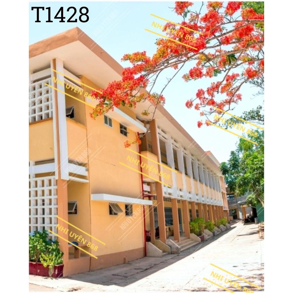 Tranh vải decor / Thảm vải treo tường / Thảm vải chụp ảnh cử nhân/ Chụp ảnh tốt nghiệp