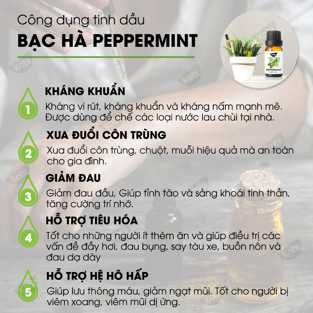 Combo 3 Tinh Dầu Kháng Khuẩn Kobi Bạc Hà + Sả Chanh + Khuynh Diệp - Tinh Dầu Thiên Nhiên Nguyên Chất, Tinh Dầu Xông Phòng, Dùng Với Máy Xông Tinh Dầu Giúp Khử Mùi, Thơm Phòng Hiệu Quả