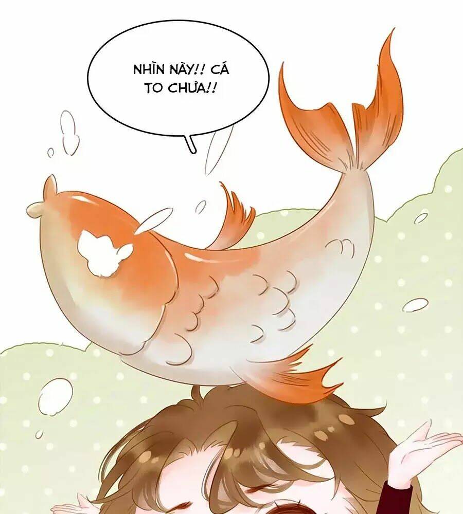 tiểu sư phụ, tóc giả của ngài rơi rồi! chapter 22 22