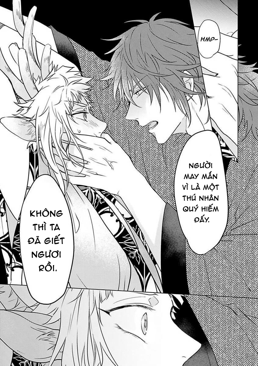 gặp gỡ em, thú nhân màu chàm trắng chapter 1 30