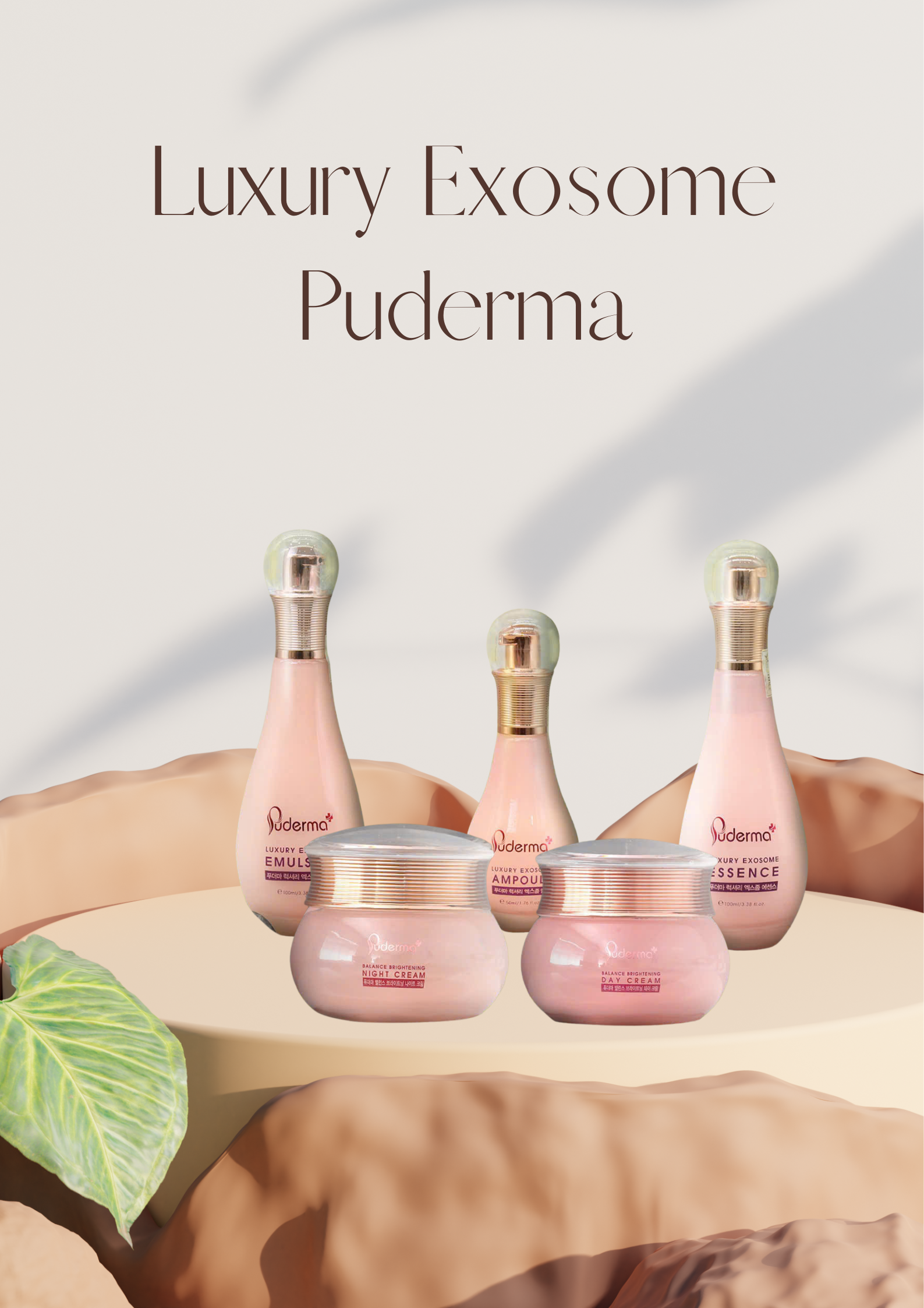 Kem Dưỡng Da Ngày và Đêm Luxury Exosome Puderma, phiên bản nâng cấp từ Kem Xóa NÁM WHITE JADE PUDERMA 50ml: làm mờ vết thâm sạm, nám, tàn nhang giúp làn da trắng sáng, căng bóng, nâng cơ săn chắc và đẩy lùi quá trình lão hoá