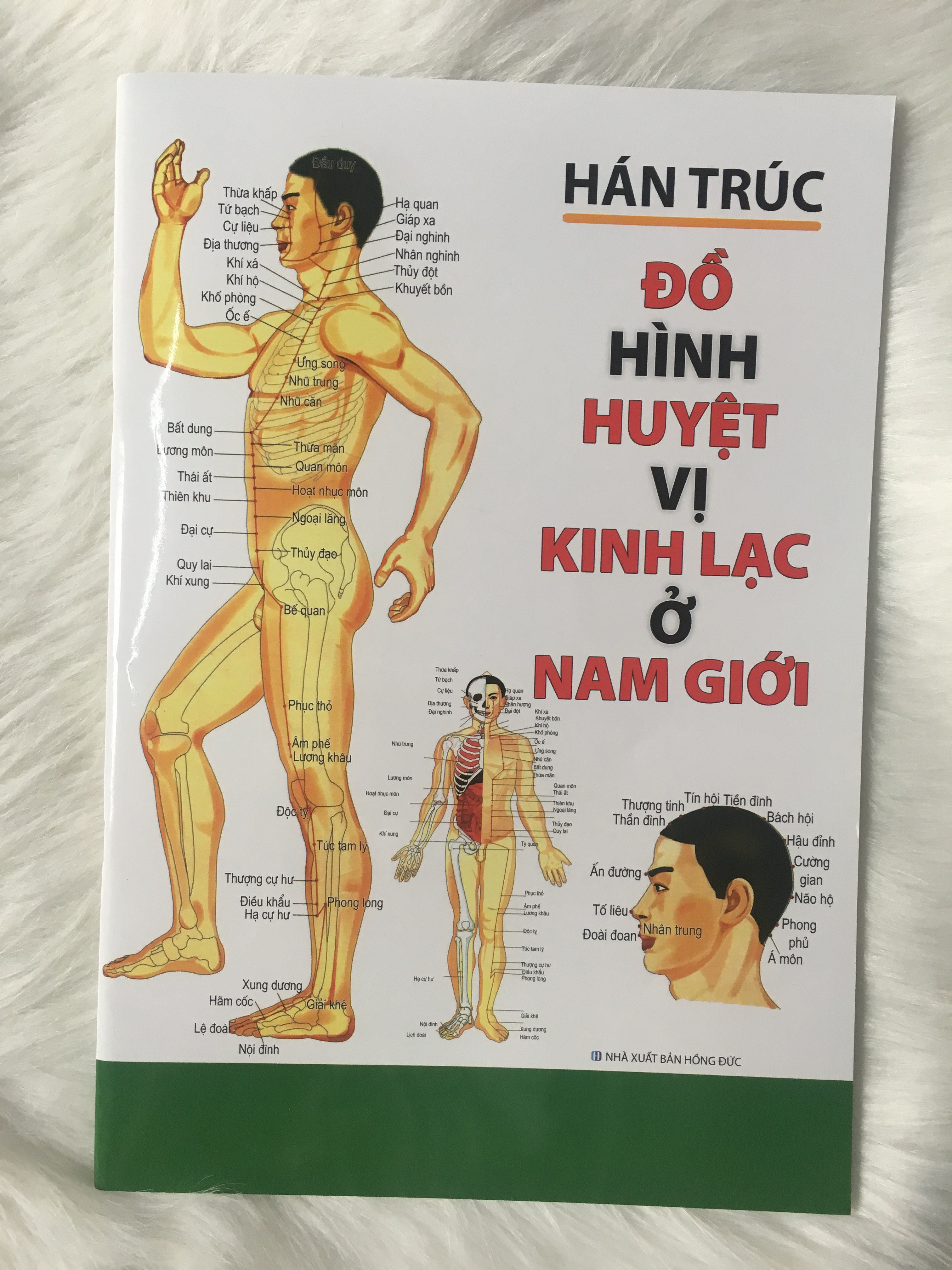 Đồ Hình Huyệt Vị Kinh Lạc Ở Nam Giới - Tặng Kèm Bookmark GIGA