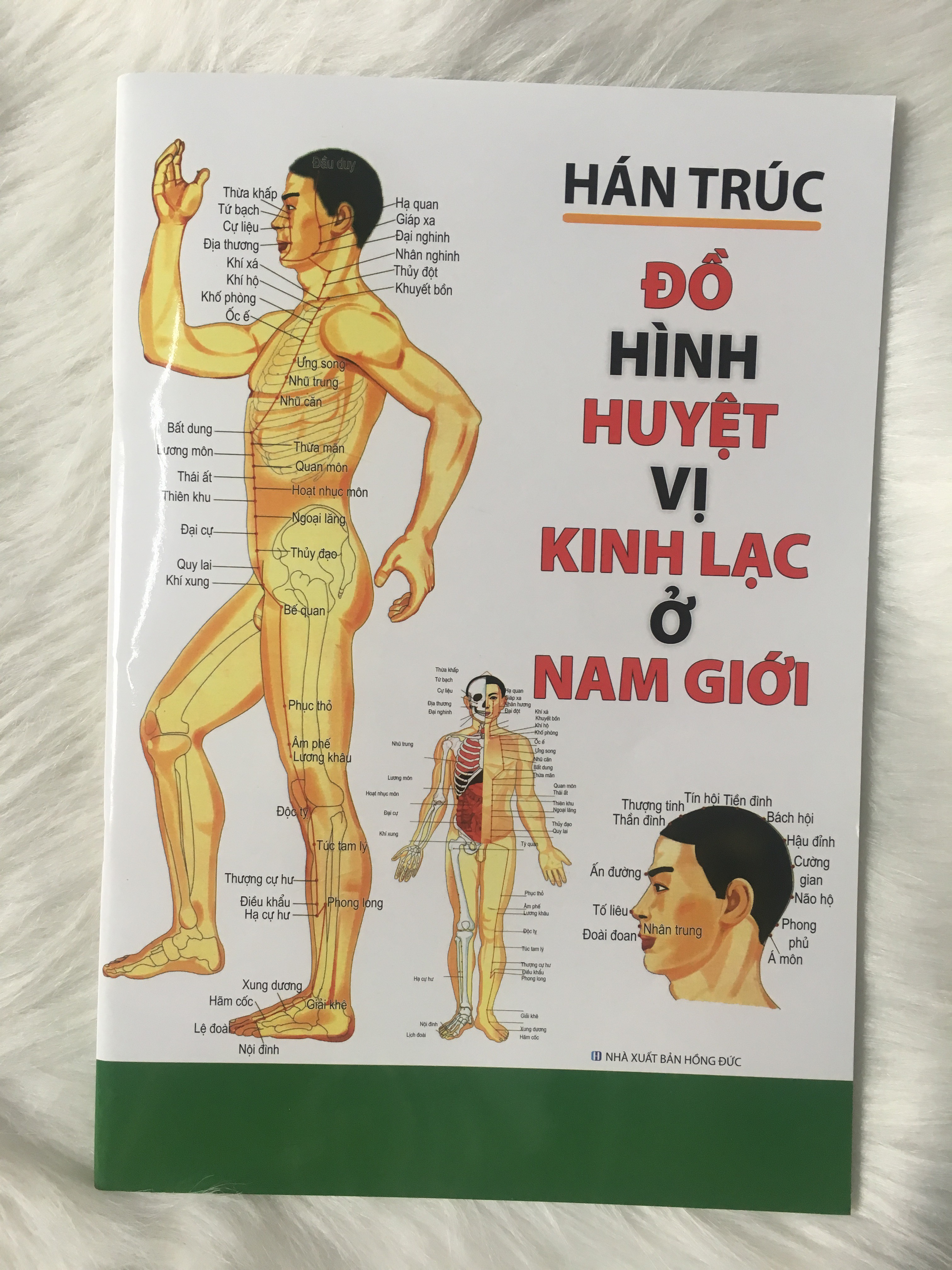 Đồ Hình Huyệt Vị Kinh Lạc Ở Nam Giới (Tái Bản 2019) - Tặng Kèm Bookmark GIGA