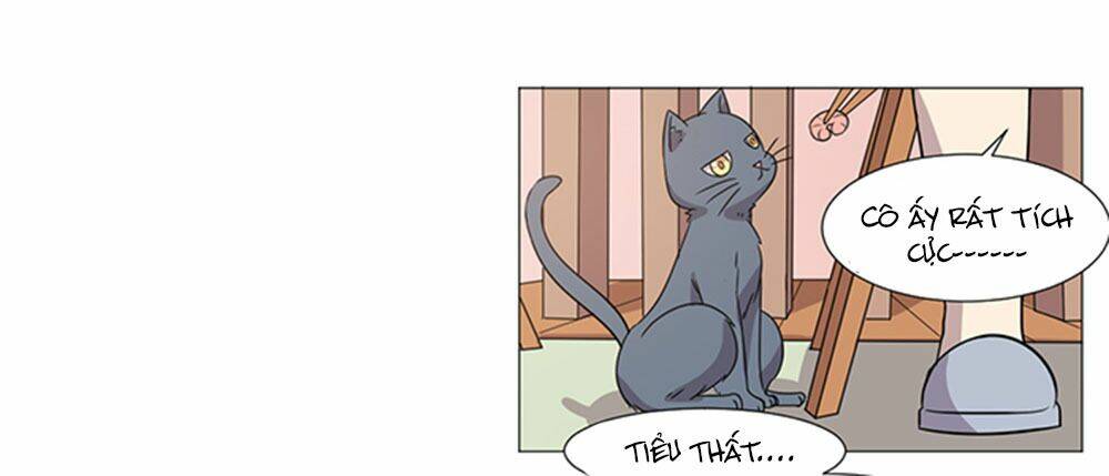 hai chú mèo totem chapter 37 11