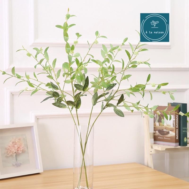 Cành lá Ô rô có hoa cao 102cm đẹp mong manh xanh mát