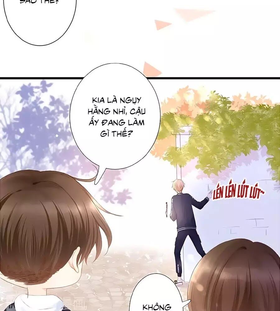 hoa chưa nở rộ chapter 19 6
