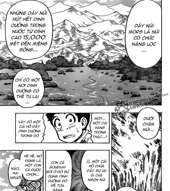 thánh tỏi sành ăn chapter 187 18