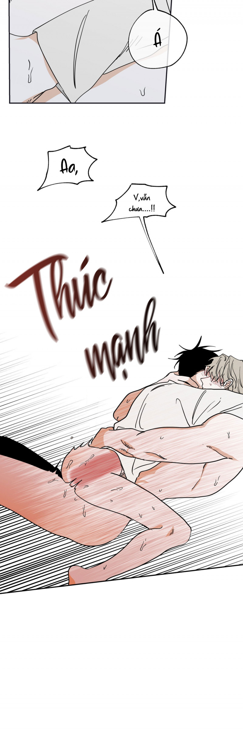 đêm bên bờ biển chapter 12 14