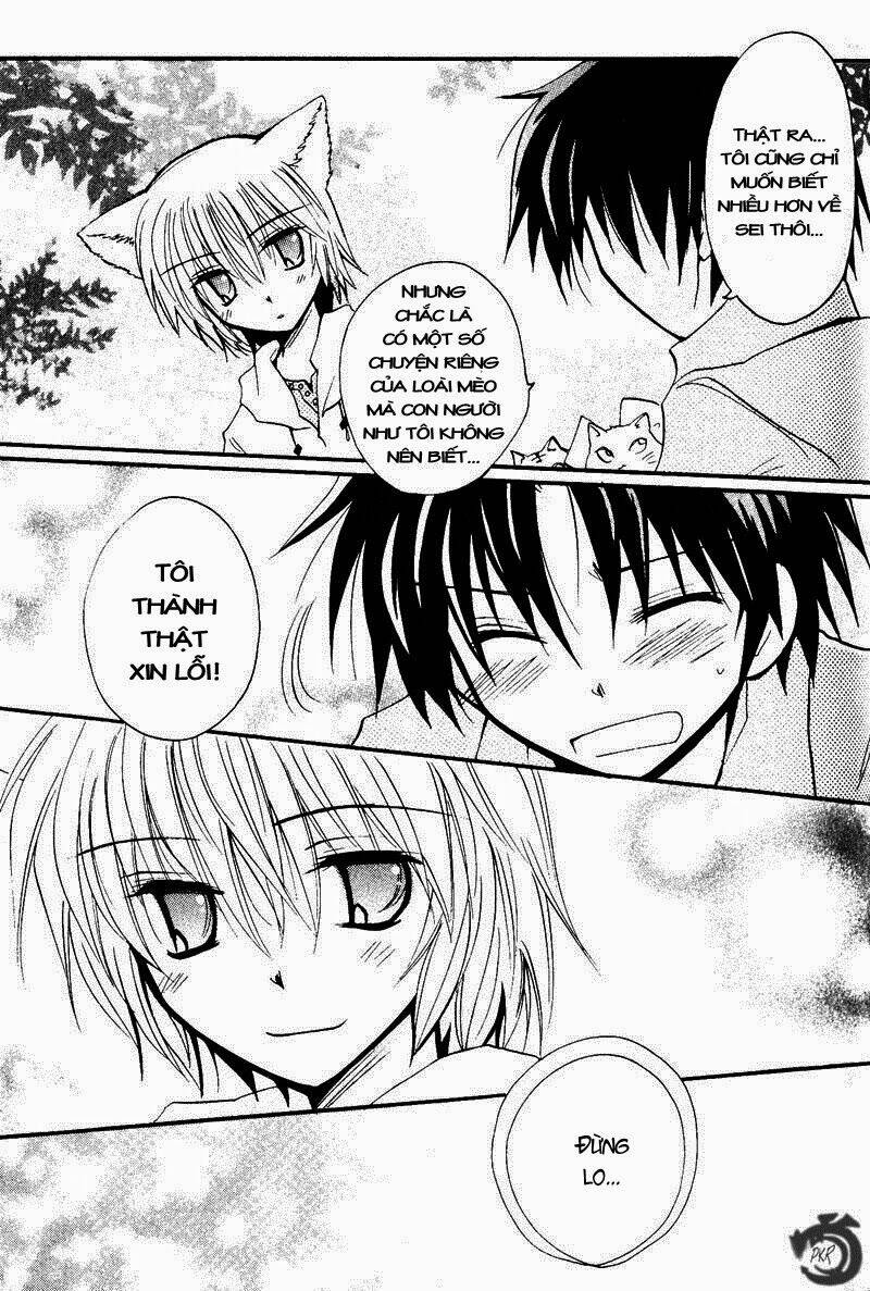 boku x neko? chapter 3.2 12