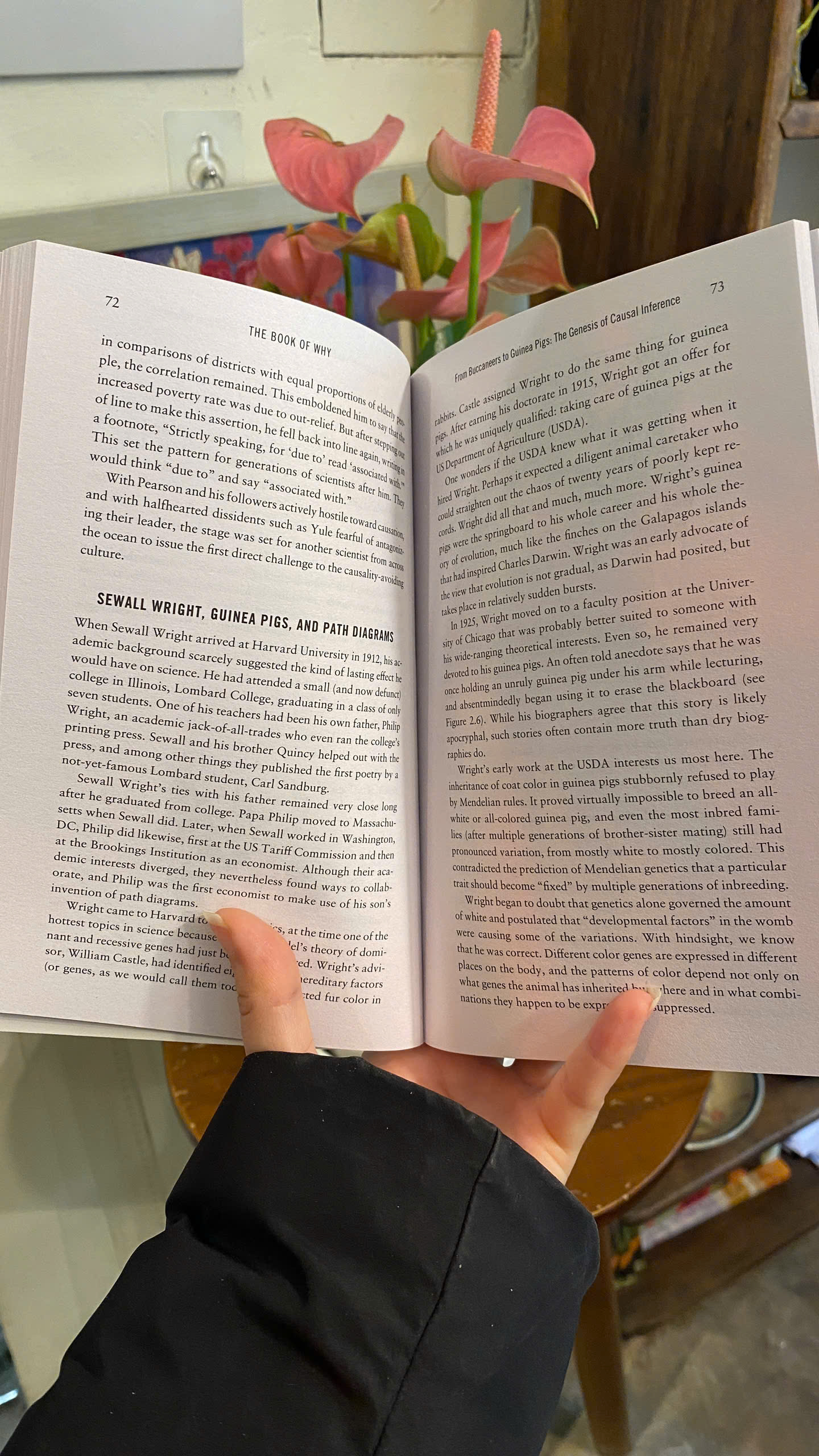 Sách - The Book of Why: The New Science of Cause & Effect by Judea Pearl | Nonfiction / Ngoại văn