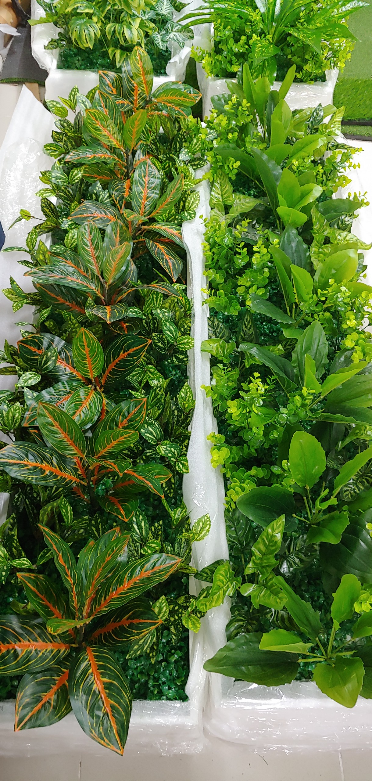 Combo cây trang trí gắn chậu cây văn phòng
