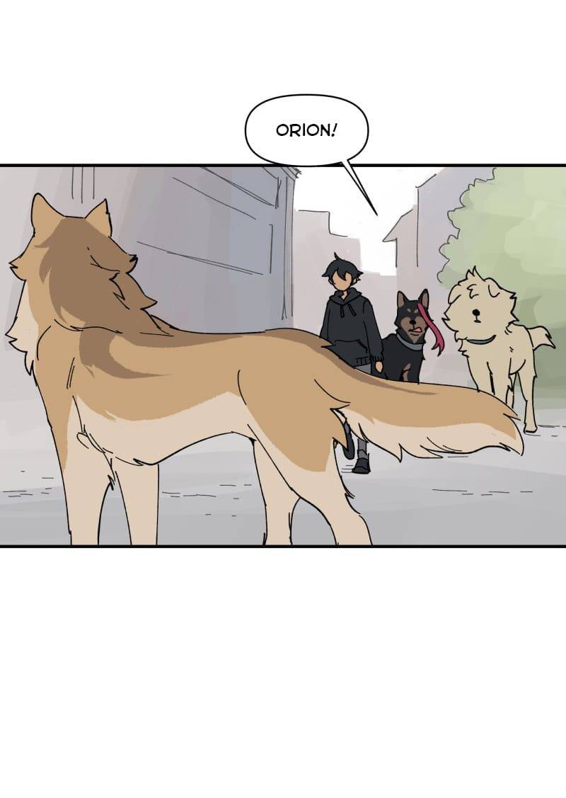 lumine - cội nguồn ánh sáng chapter 153 20