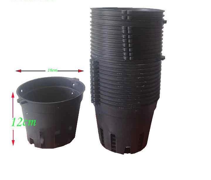 Bộ 10 chậu chựa trồng lan phi 16