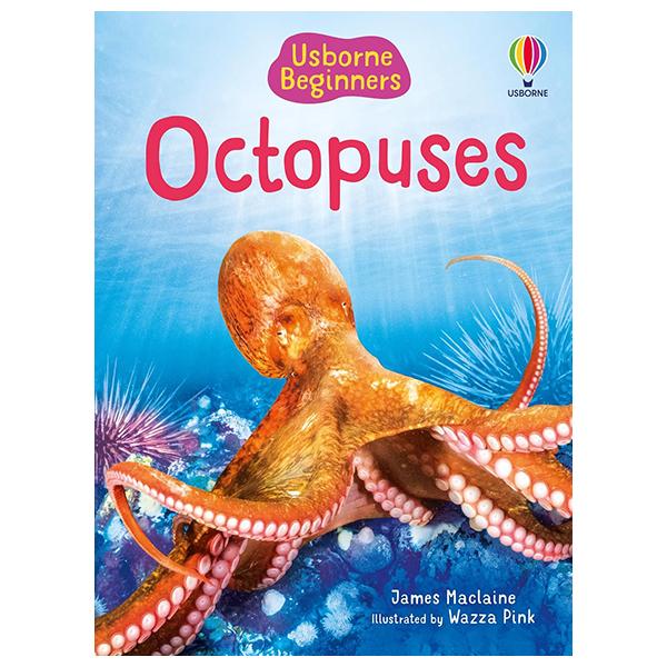 Sách ngoại văn: Beginners Octopuses