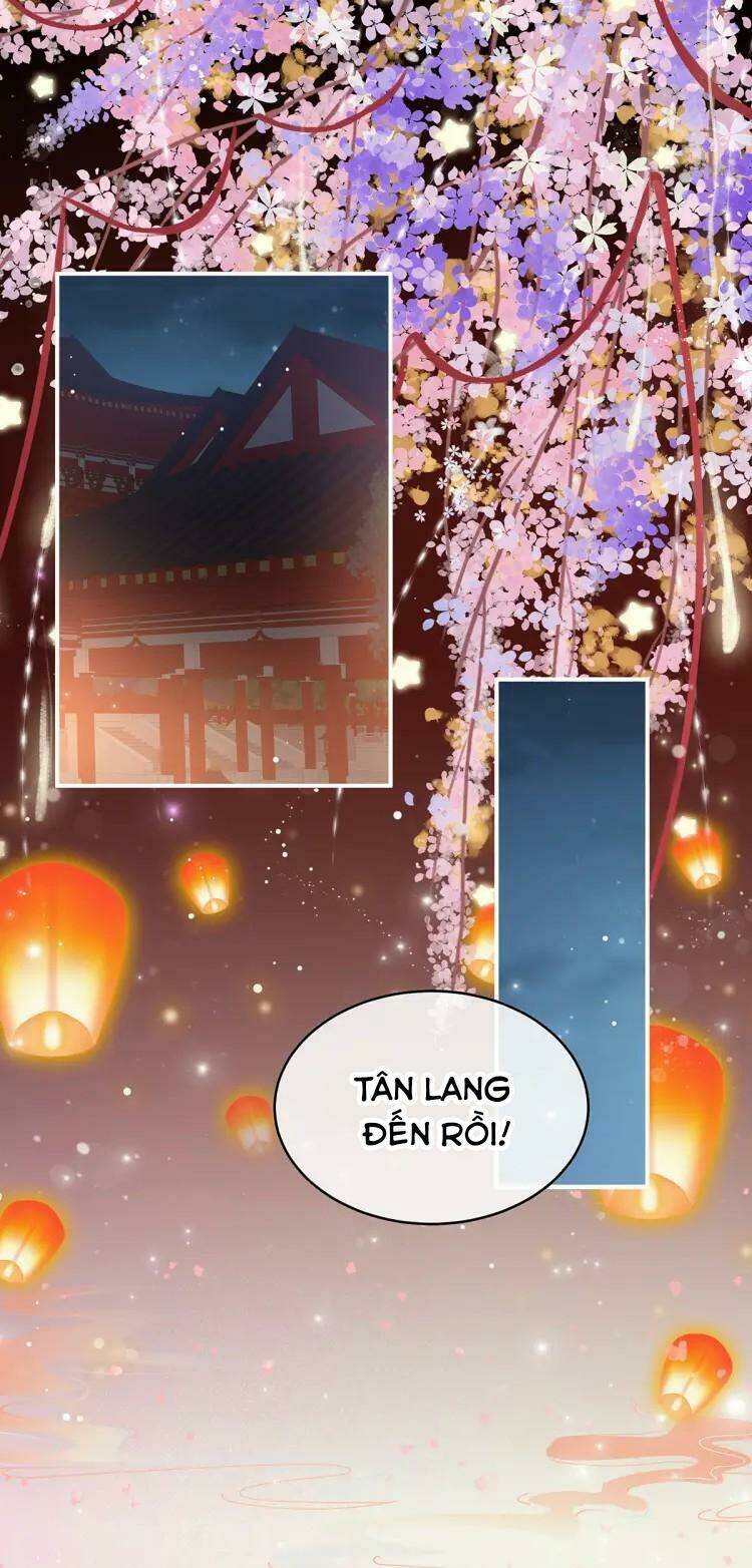 kiều phu có hỉ chapter 49 21