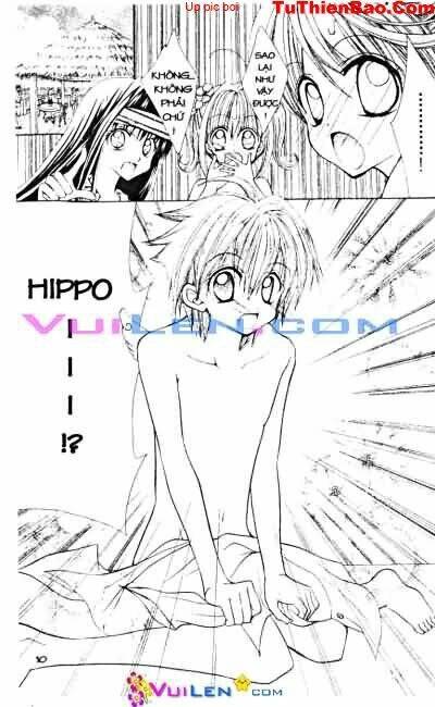 viên ngọc nàng tiên cá chapter 3 11