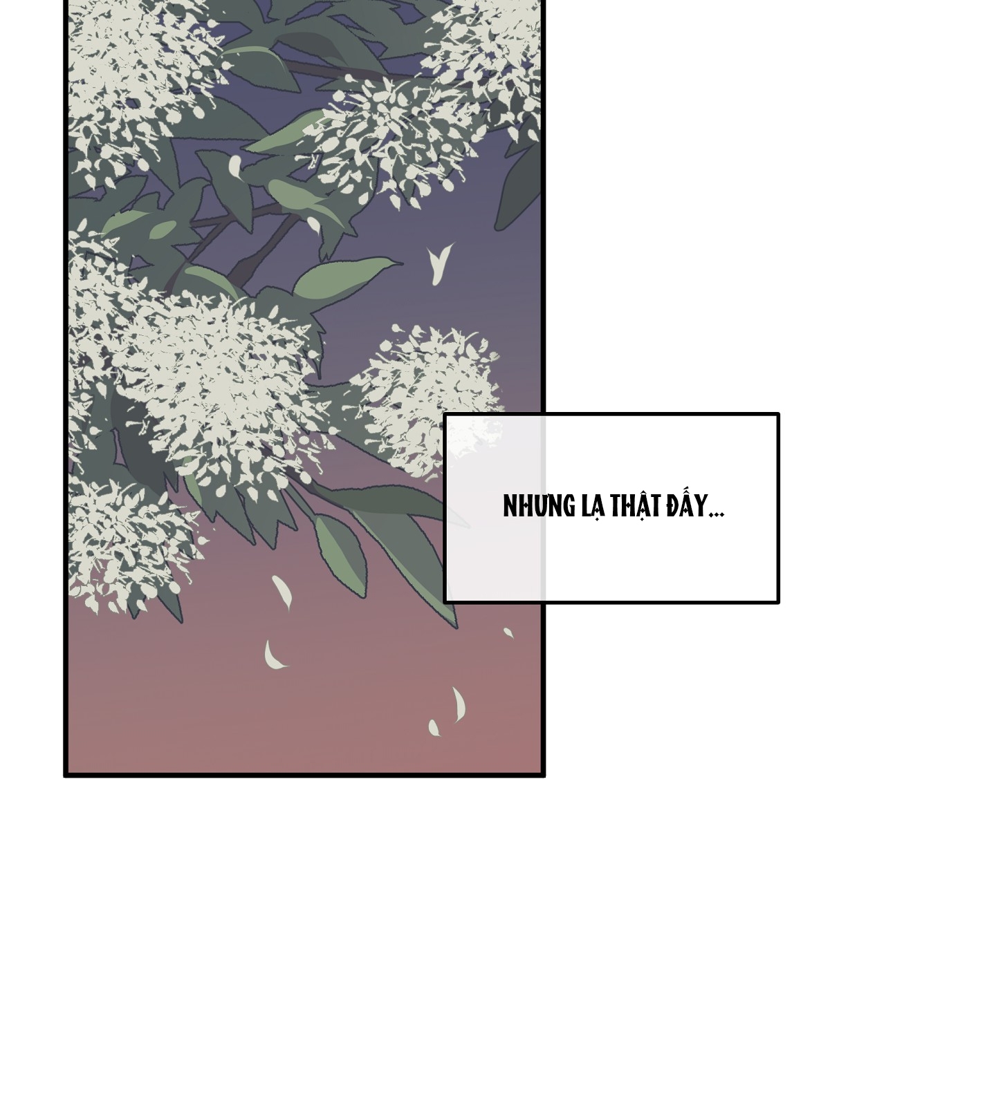 đêm bên bờ biển chapter 67.1 30